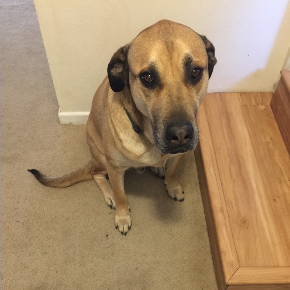 Meet your Posher, Sonia